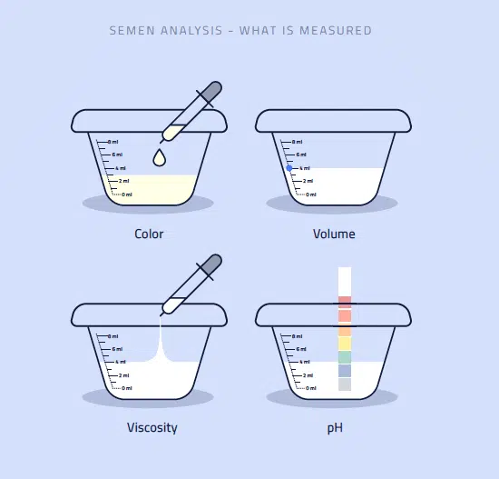 Parameters analysed in the semen analysis