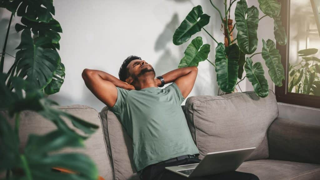 Le stress oxydatif - un facteur important de l'infertilité masculine