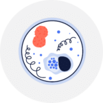 Infections