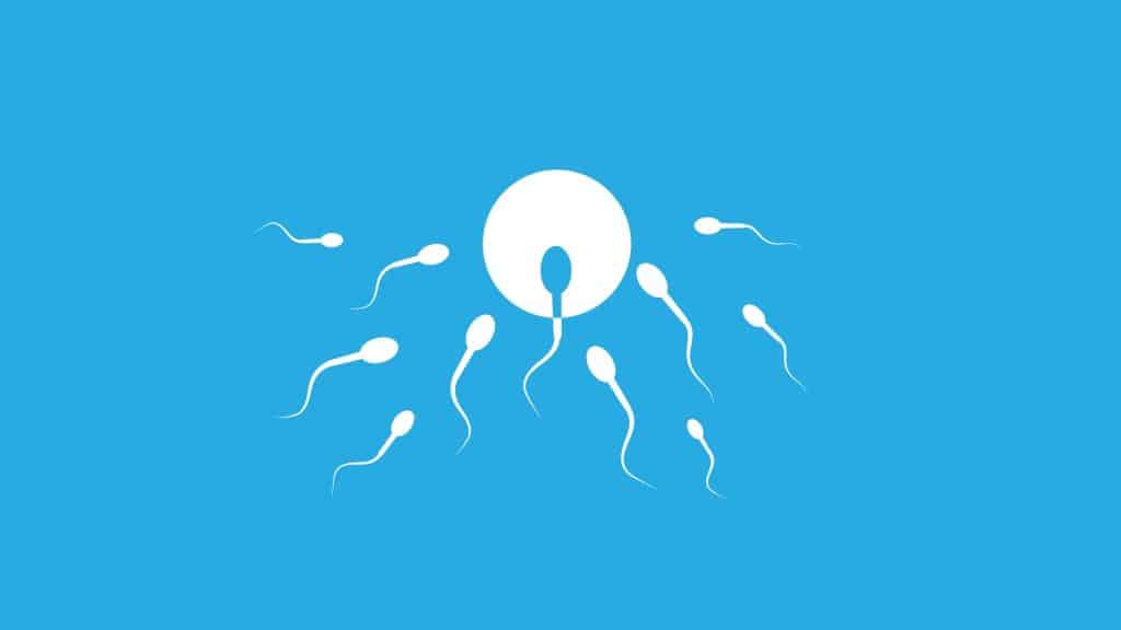 Mitos y realidades sobre la fertilidad masculina