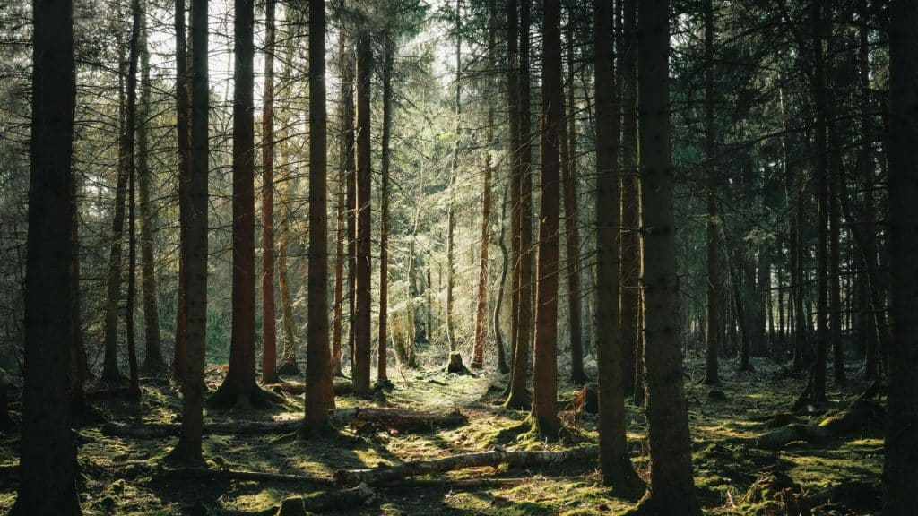 ude i naturen for at forbedre fertiliteten