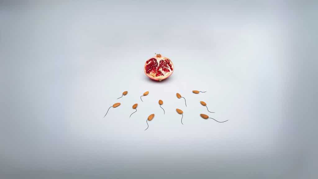Guía definitiva para el recuento de espermatozoides