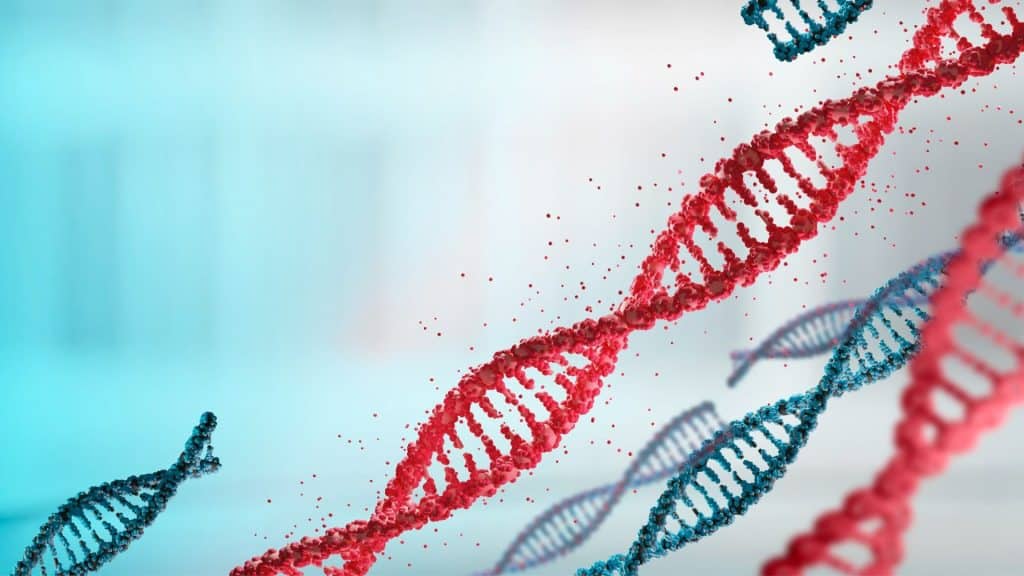 Hvad er DNA-fragmentering i sædceller?