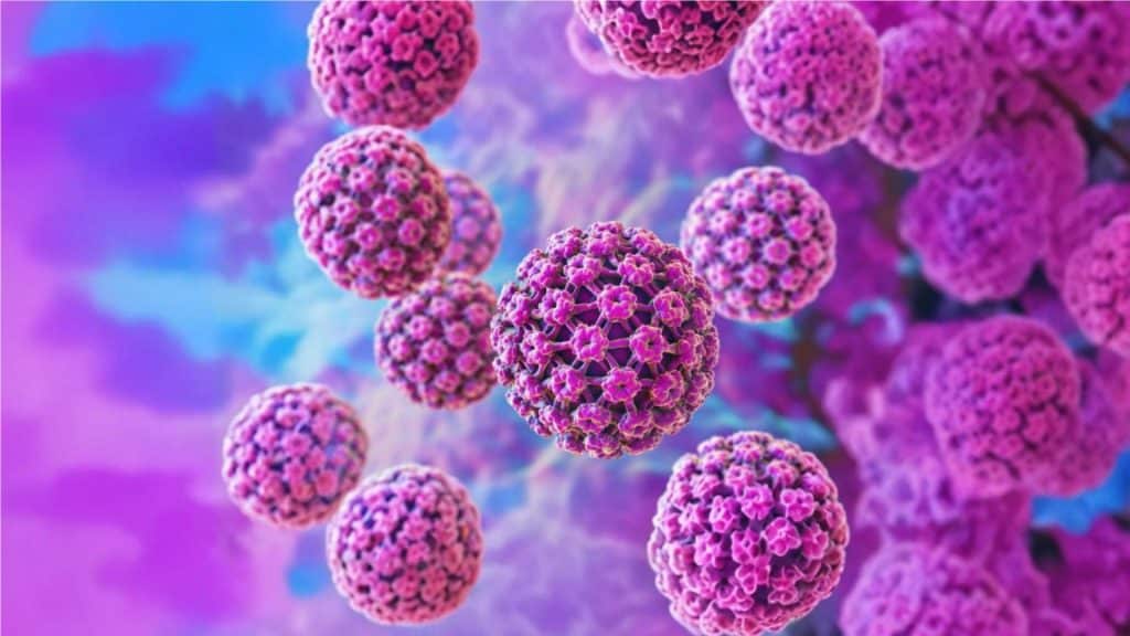 L'impact du VPH sur la fertilité masculine