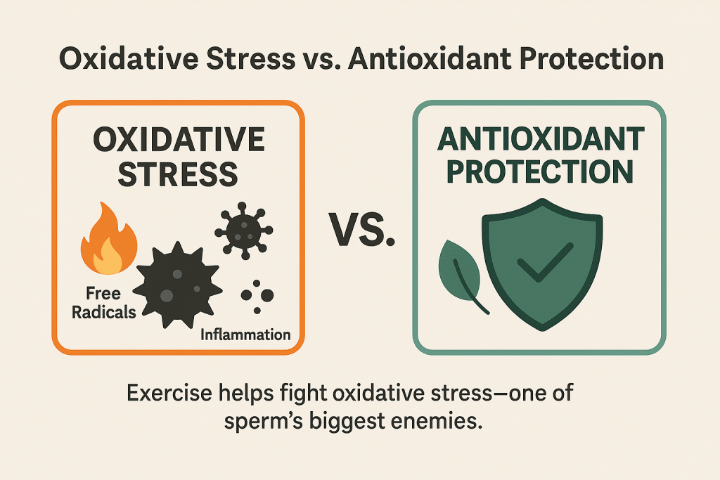 Infographie sur le paysage comparant le stress oxydatif et la protection antioxydante. Les icônes des radicaux libres, de l'inflammation et des bactéries représentent le stress oxydatif, tandis qu'un bouclier, une feuille verte et une coche symbolisent la défense antioxydante.